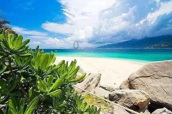 孤岛惊魂原始杀戮